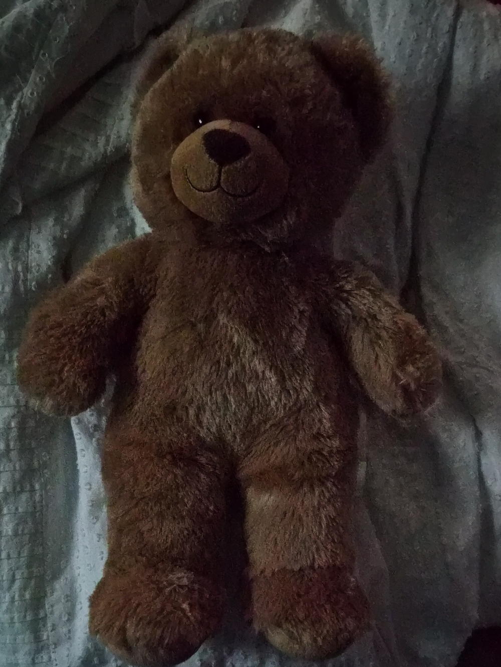 BUILD A BEAR Plush Brown Teddy Bear Soft Stuffed Toy